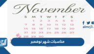 مناسبات شهر نوفمبر 2024 pdf