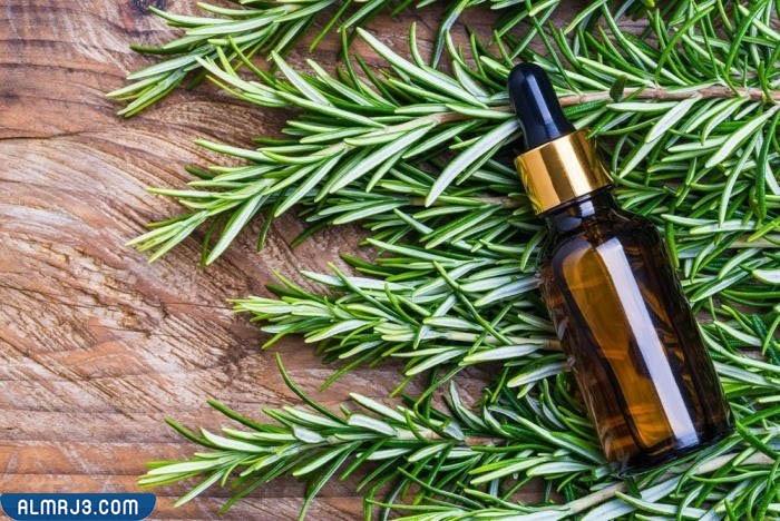 منقوع اكليل الجبل لتطويل الشعر بسرعة 