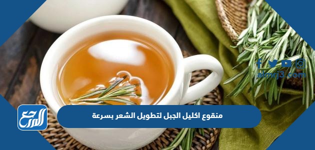 منقوع اكليل الجبل لتطويل الشعر بسرعة