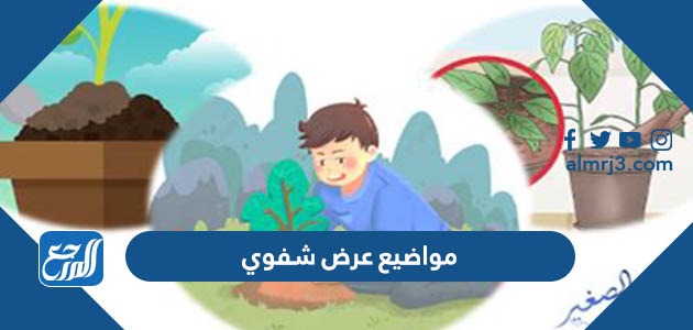 مواضيع عرض شفوي
