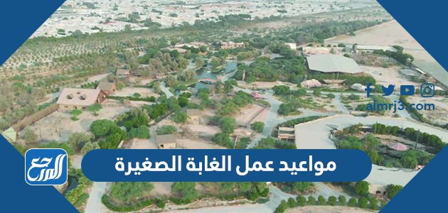 مواعيد عمل الغابة الصغيرة