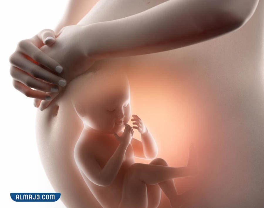 نصائح لتحفيز الجنين على النزول إلى الحوض