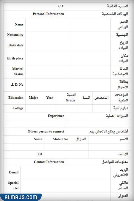  نموذج سيرة ذاتية جاهز للكتابة 2