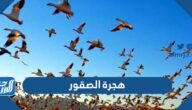 جدول هجرة الصقور 1446 pdf