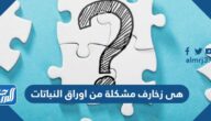 هى زخارف مشكلة من اوراق النباتات