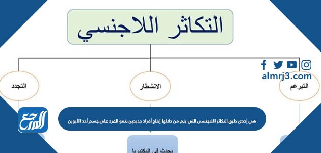 هي إحدى طرق التكاثر اللاجنسي التي يتم من خلالها إنتاج أفراد جديدين بنمو الفرد على جسم أحد الأبوين
