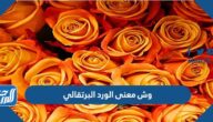 وش معنى الورد البرتقالي