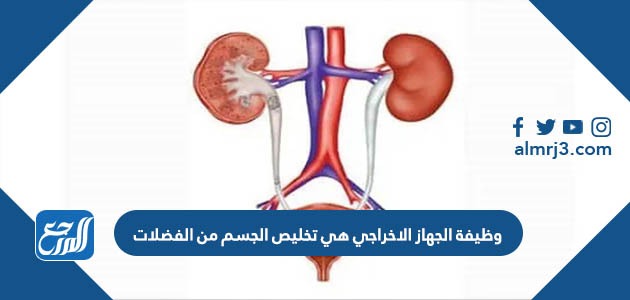 وظيفة الجهاز الاخراجي هي تخليص الجسم من الفضلات