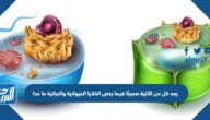 يعد كل من الآتية صحيحًا فيما يخص الخلايا الحيوانية والنباتية ما عدا