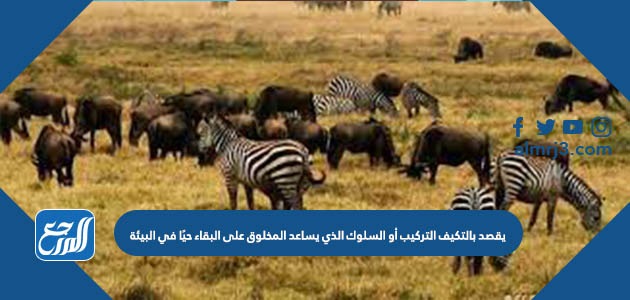 يقصد بالتكيف التركيب أو السلوك الذي يساعد المخلوق على البقاء حيًا في البيئة