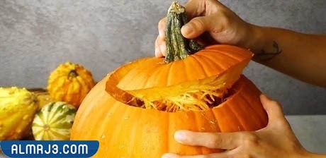 شكل اليقطين بالصور من الداخل والخارج