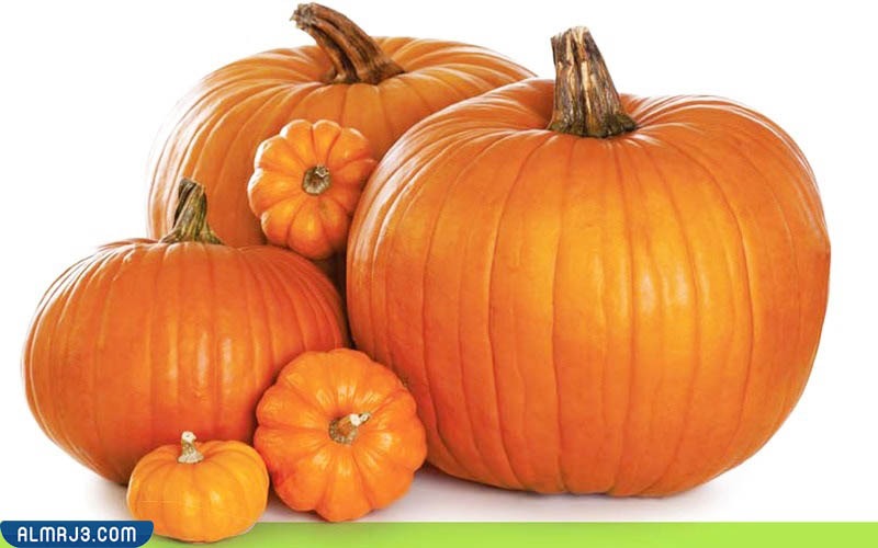 شكل اليقطين بالصور من الداخل والخارج