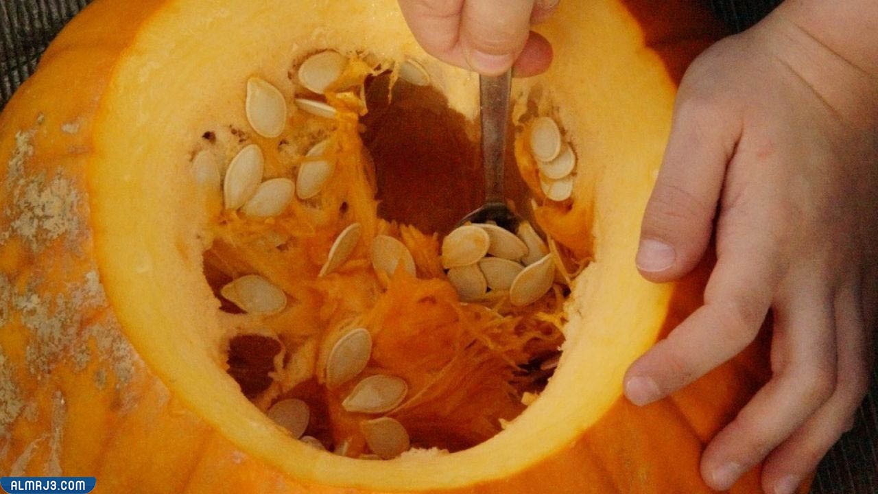 شكل اليقطين بالصور من الداخل والخارج