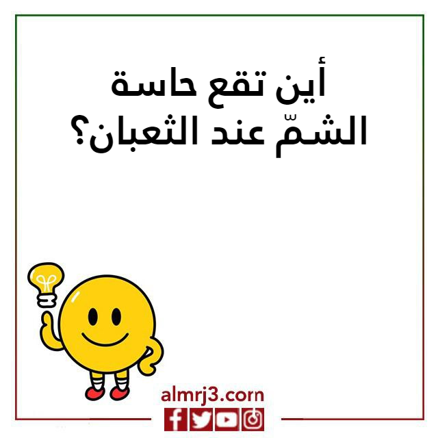 اختبـار ذكـاء سريـع 10 اسئلة