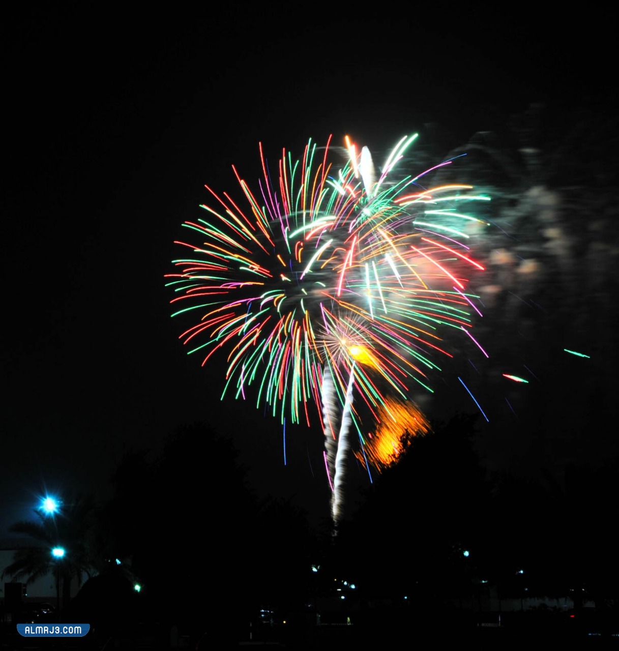 فعاليات احتفال العيد الوطني العماني 52 بالصور