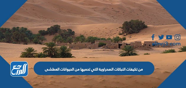 من تكيفات النباتات الصحراوية التي تحميها من الحيوانات العطشى