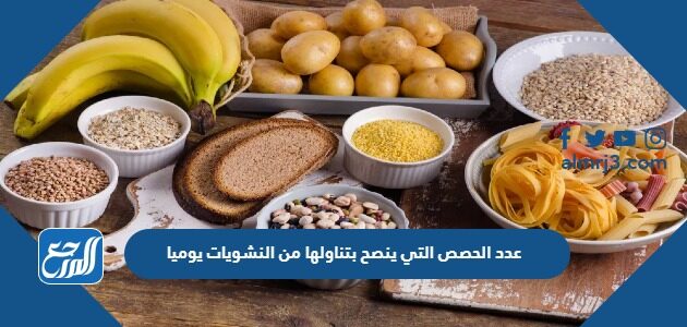 عدد الحصص التي ينصح بتناولها من النشويات يوميا