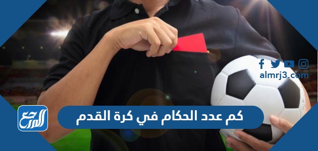 كم عدد الحكام في كرة القدم