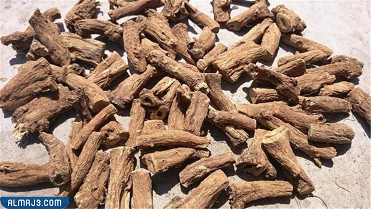 أضرار استخدام القسط الهندي