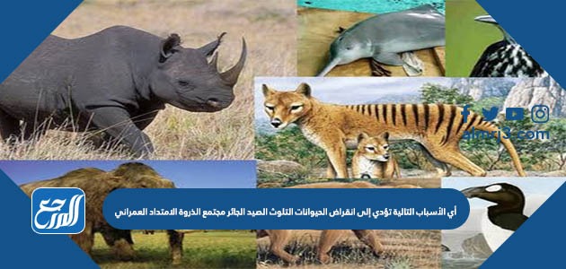 أي الأسباب التالية تؤدي إلى انقراض الحيوانات التلوث الصيد الجائر مجتمع الذروة الامتداد العمراني