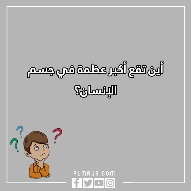 اسئلة مسابقات عامة