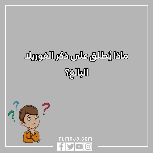 اسئلة مسابقات عامة