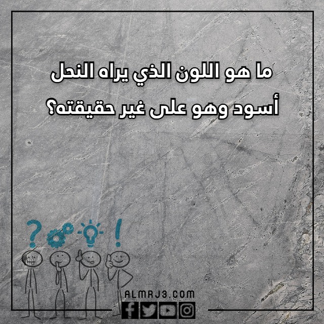 اسئلة مسابقات