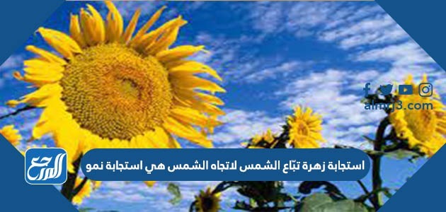 استجابة زهرة تبّاع الشمس لاتجاه الشمس هي استجابة نمو.