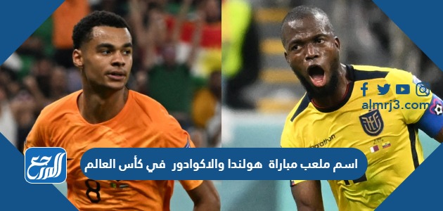 اسم ملعب مباراة هولندا والاكوادور في كأس العالم