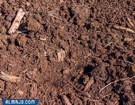 التربة الجفت