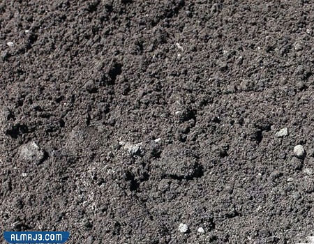 التربة الرملية