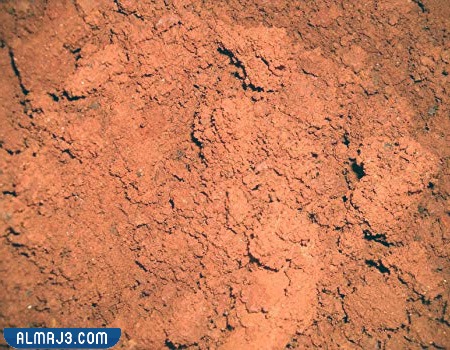 التربة الطينية