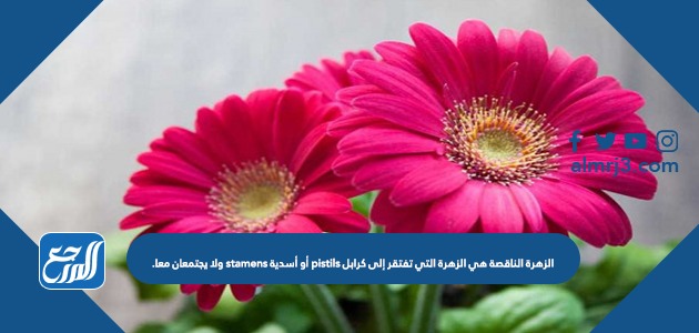 الزهرة الناقصة هي الزهرة التي تفتقر إلى كرابل pistils أو أسدية stamens ولا يجتمعان معا.