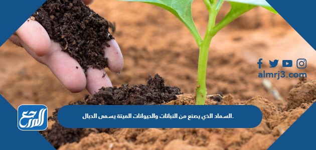 السماد الذي يصنع من النباتات والحيوانات الميتة يسمى الدبال.