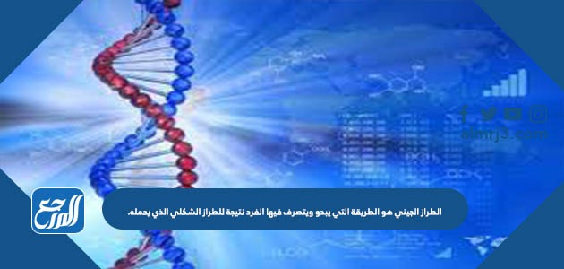 الطراز الجيني هو الطريقة التي يبدو ويتصرف فيها الفرد نتيجة للطراز الشكلي الذي يحمله.