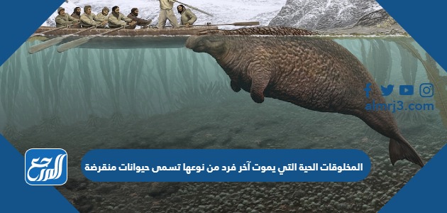 المخلوقات الحية التي يموت آخر فرد من نوعها تسمى حيوانات منقرضة