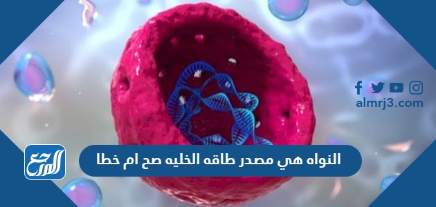 النواه هي مصدر طاقه الخليه صح ام خطا