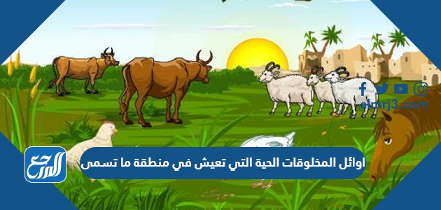 اوائل المخلوقات الحية التي تعيش في منطقة ما تسمى