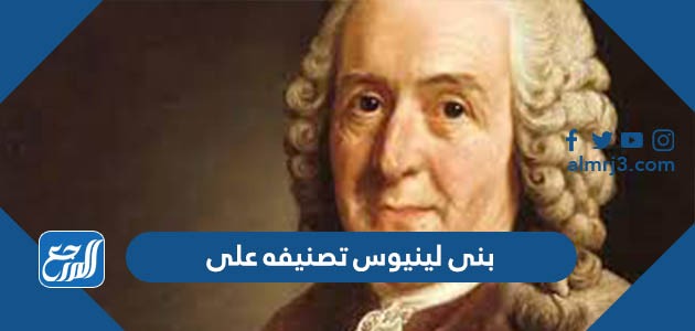 بنى لينيوس تصنيفه على