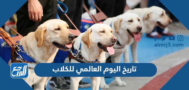 تاريخ اليوم العالمي للكلاب
