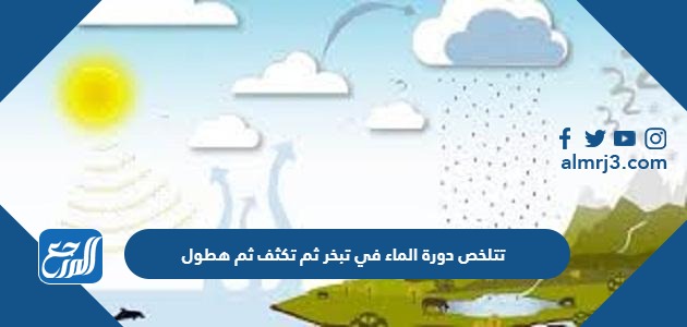 تتلخص دورة الماء في تبخر ثم تكثف ثم هطول