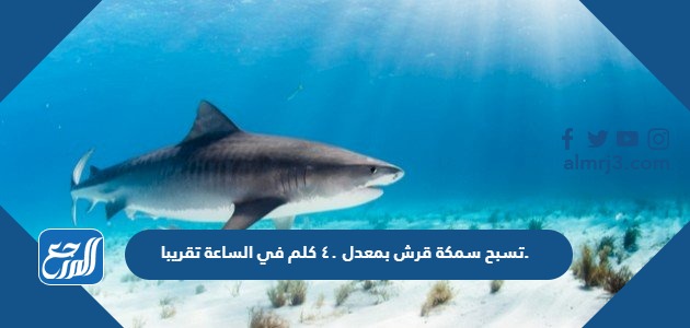 تسبح سمكة قرش بمعدل ٤٠ كلم في الساعة تقريبا. ما المعادلة التي يمكنك استعمالها لمعرفة الزمن الذي تحتاج إليه لقطع مسافة ٩٦ كلم بهذا المعدل؟