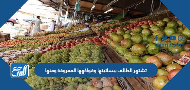 تشتهر الطائف ببساتينها وفواكهها المعروفة ومنها