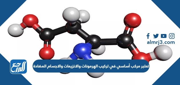 تعتبر مركب أساسي في تركيب الهرمونات والانزيمات والاجسام المضادة