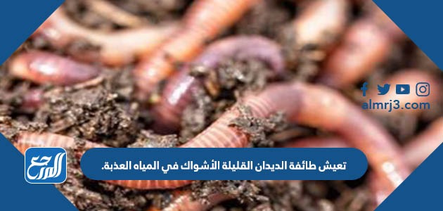 تعيش طائفة الديدان القليلة الأشواك في المياه العذبة.