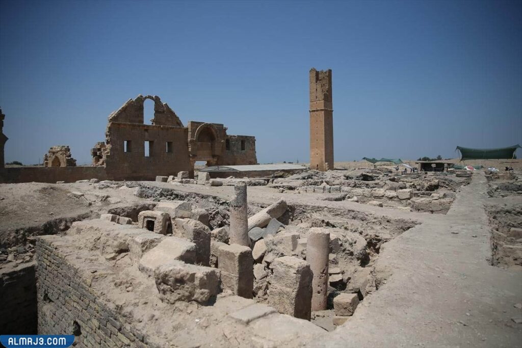 تقرير عن حضارة مجان pdf