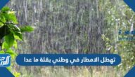 تهطل الامطار في وطني بقلة ما عدا