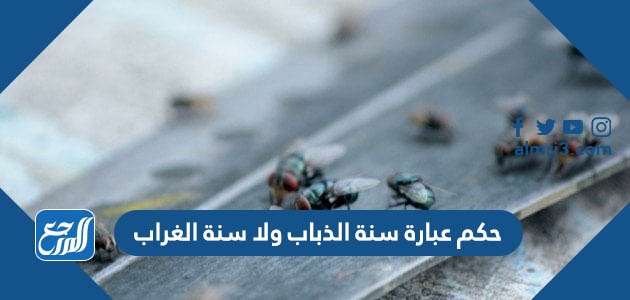 حكم عبارة سنة الذباب ولا سنة الغراب