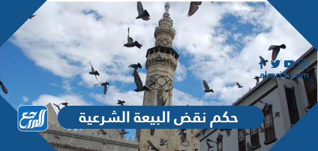 حكم نقض البيعة الشرعية