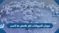 دوران الحيوانات لغز غامض ما السر